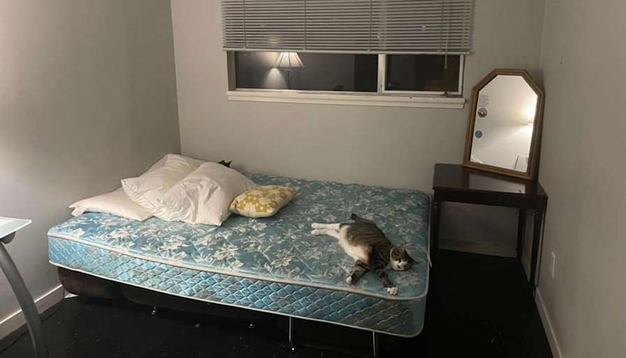 Photo of Colette's room
