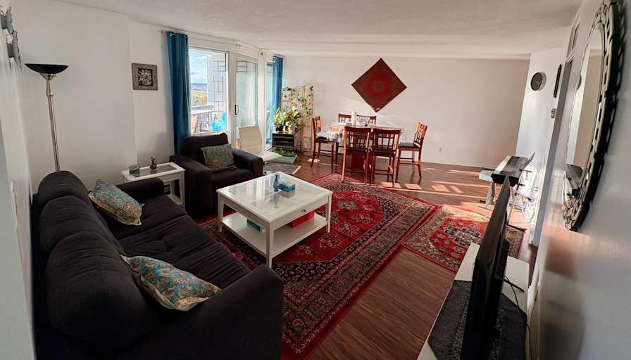 Saeid Foroughi's room