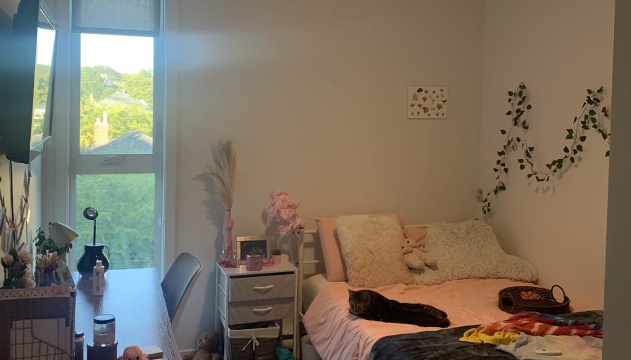 Photo of Shenae's room