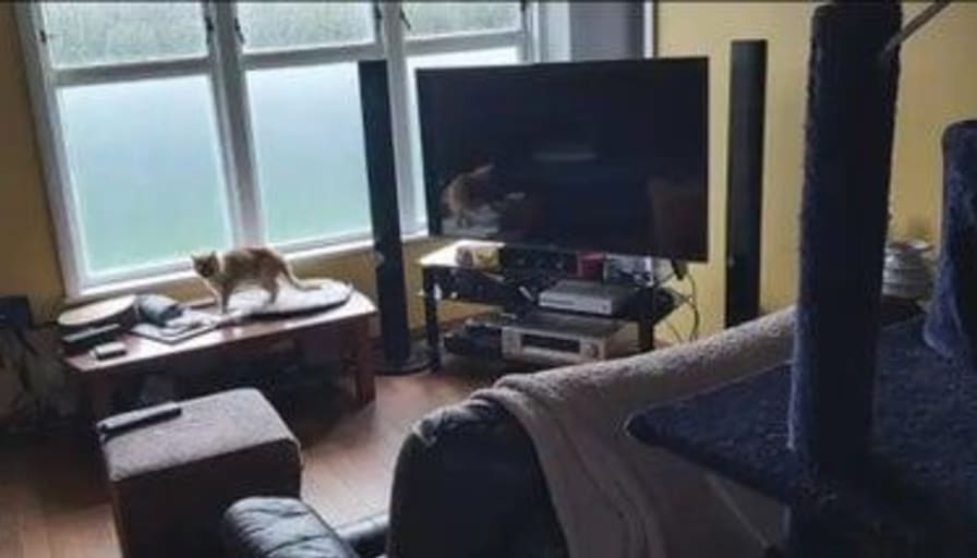 Photo of Jessica R Clark's room