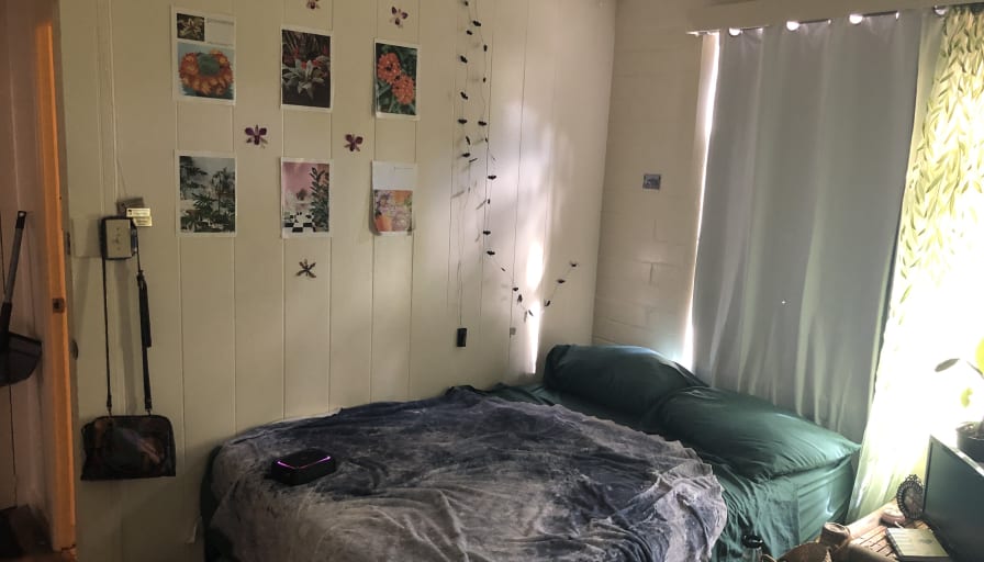 Photo of August's room