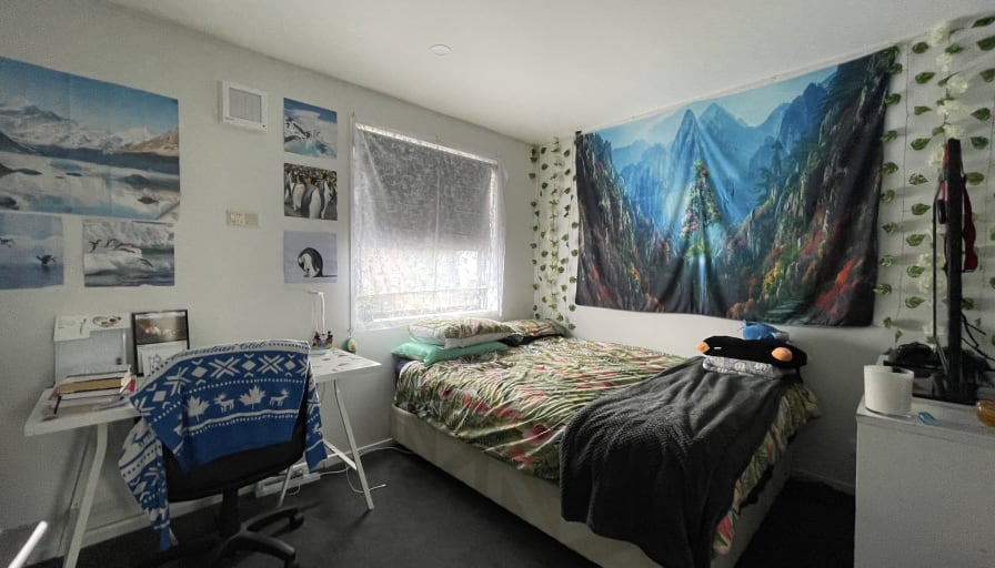 Photo of Federico's room