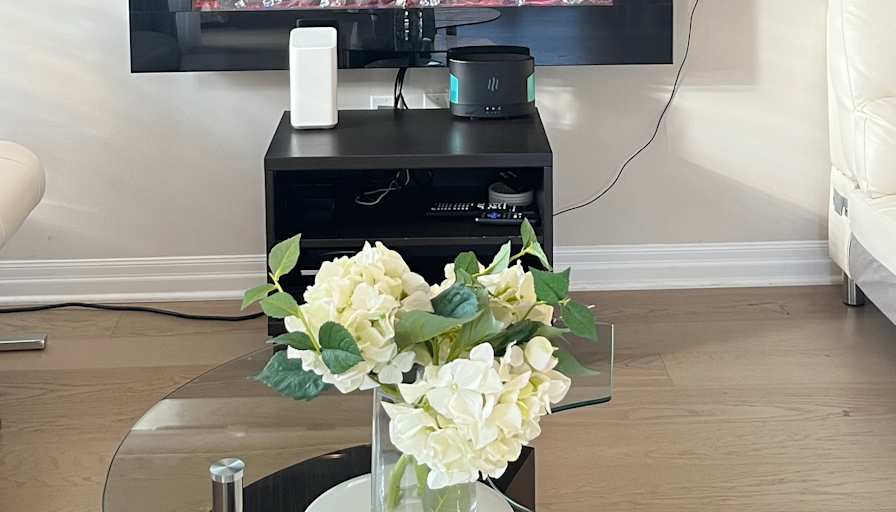 Photo of Sofia's room