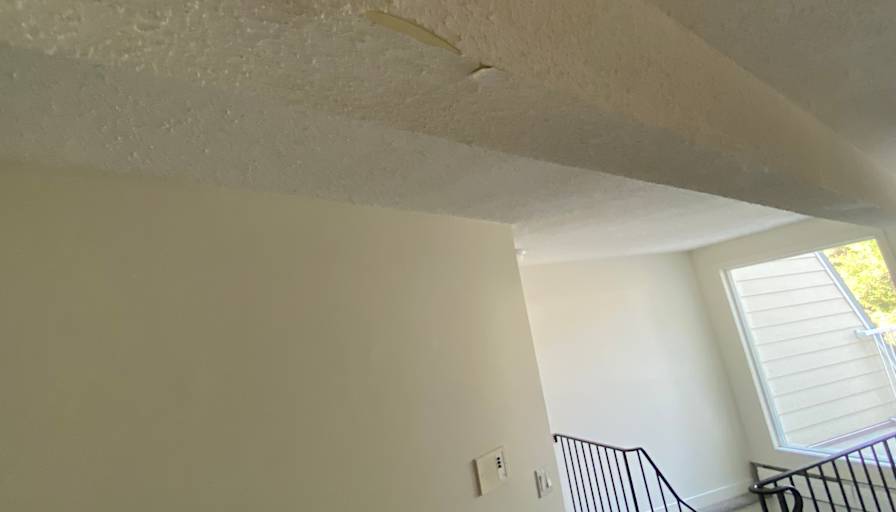 Cameron Routliffe's room