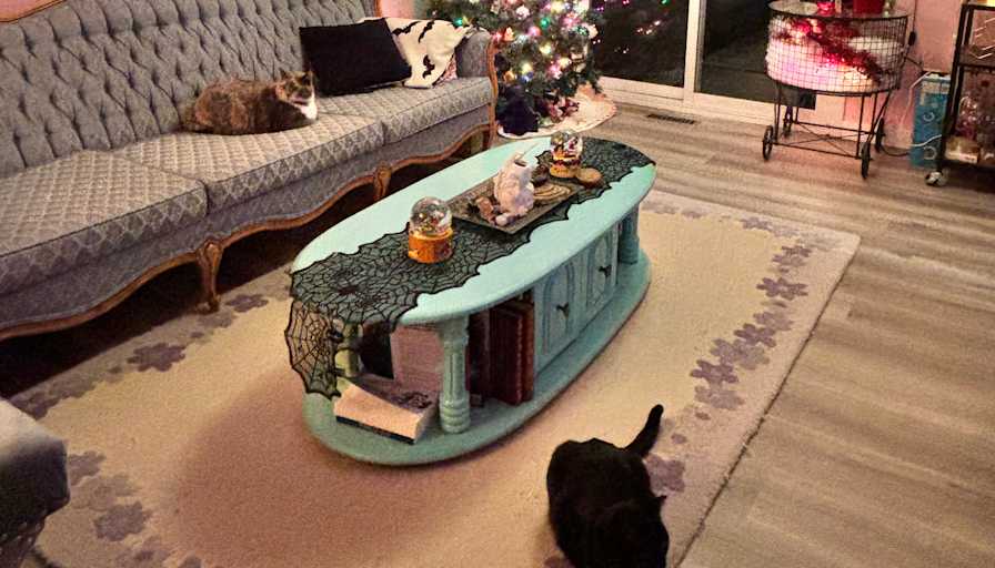 Meghan and Jessica's room