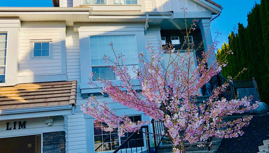 Photo of ETHAN's room