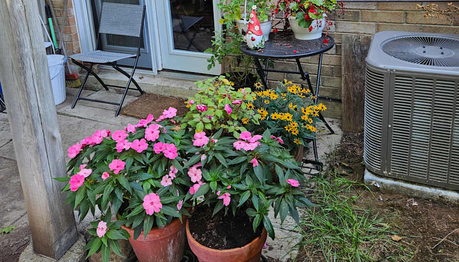 Maryanne Thomson's room