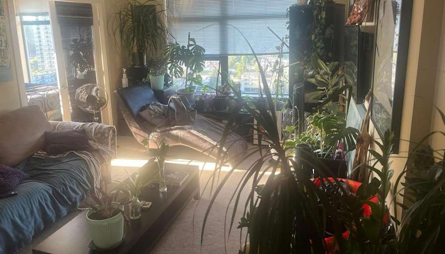 Photo of Richard Romano Carlsen's room