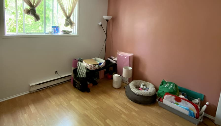 Photo of Kassandra's room