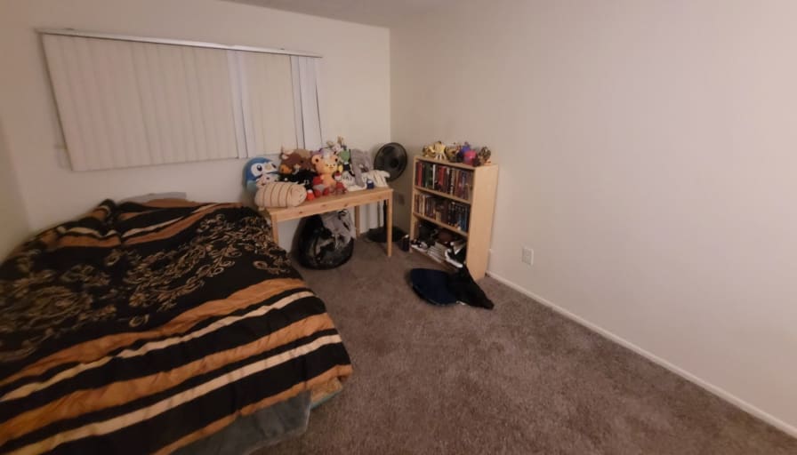 Photo of Anish's room