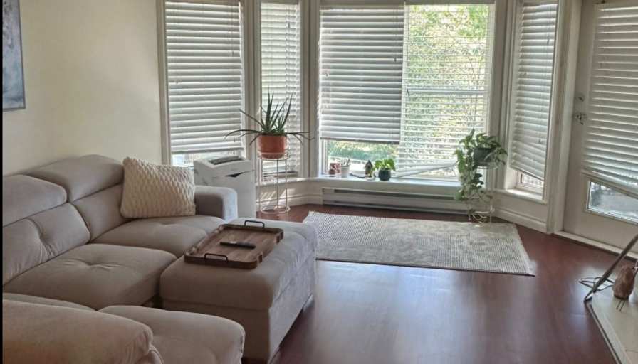 Rasa Petronis's room