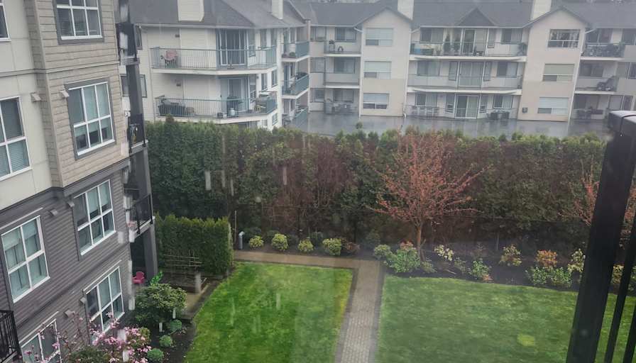 Photo of Layla's room