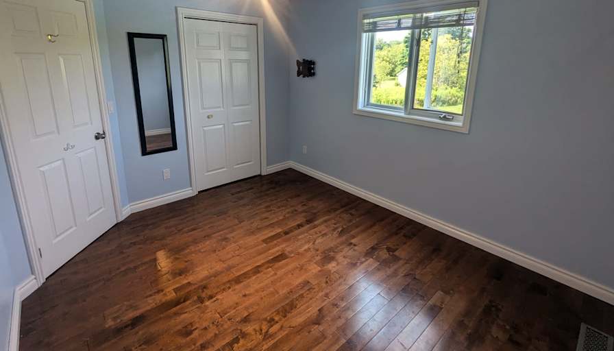 MOHADESE AMINI's room