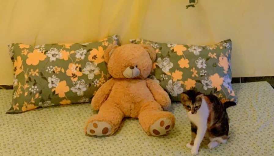 Photo of Kubra's room