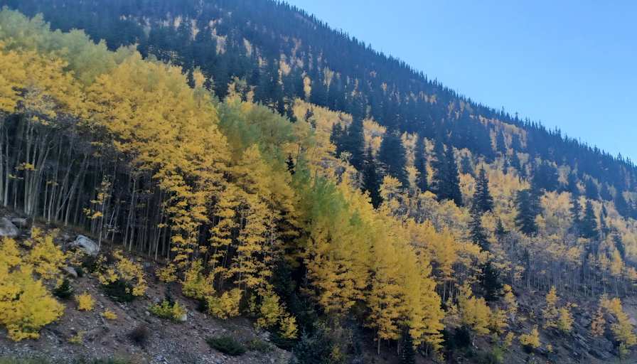 Private room to rent in share house Dakota Ridge, C...