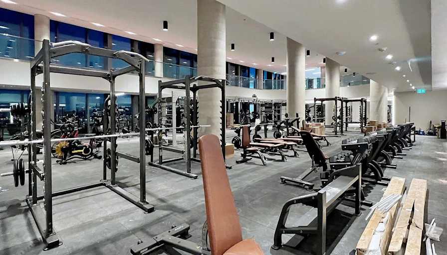 Diana Androsova's room