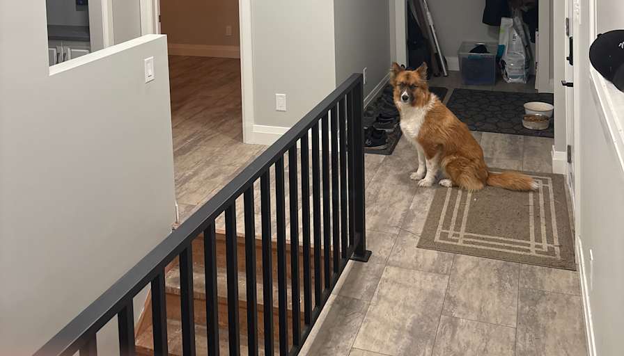 Photo of Andrew's room