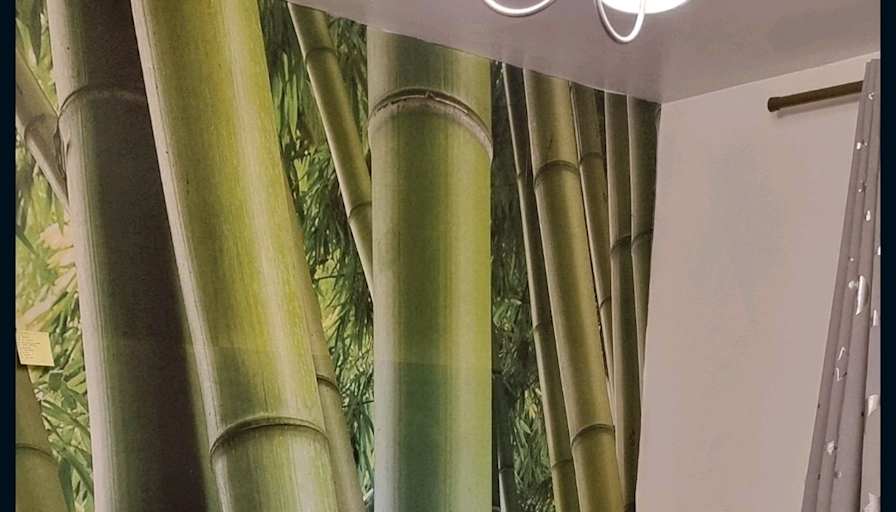 Photo of Joanna's room