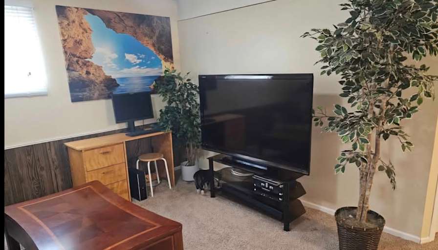 Photo of LINDA's room