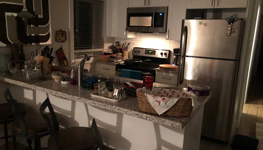 Zoltan Bankuti's room