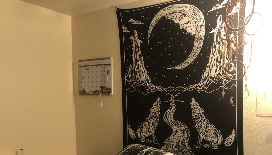 Photo of Darby's room