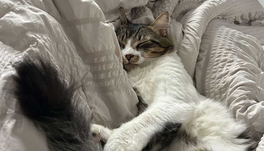 Photo of Seiko's room