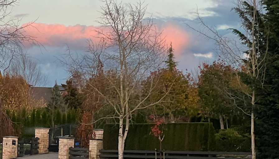 Kelley Chalmers's room