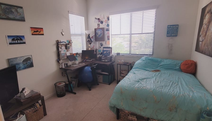 Photo of Tani's room