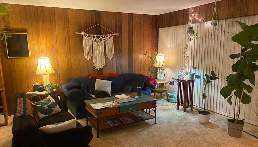 Photo of Sarah's room