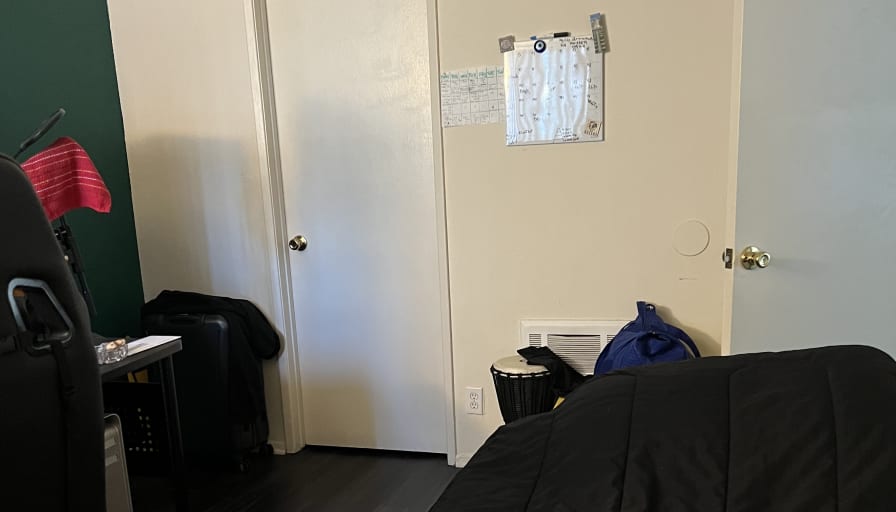 Photo of Sanaz's room