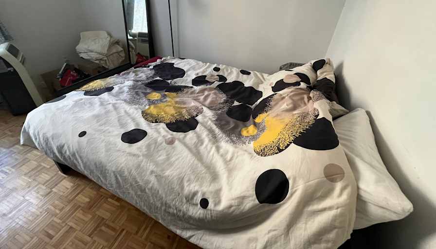 Hassan Shoaib's room