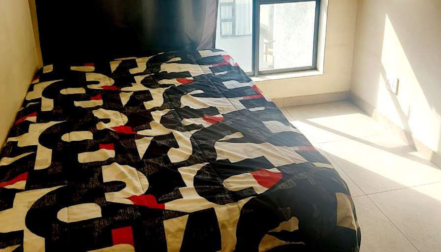 Photo of rex's room