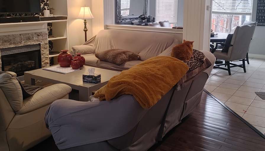 Kevin levacque's room