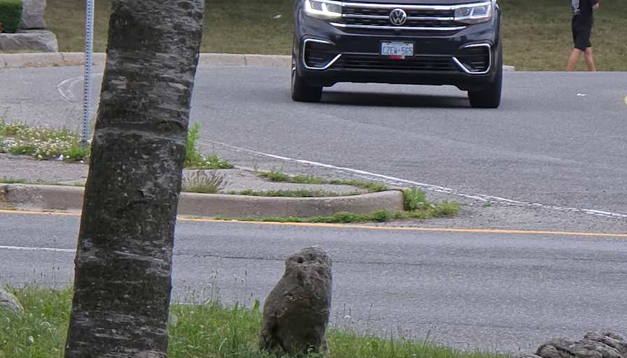 Wendy cancelli's room