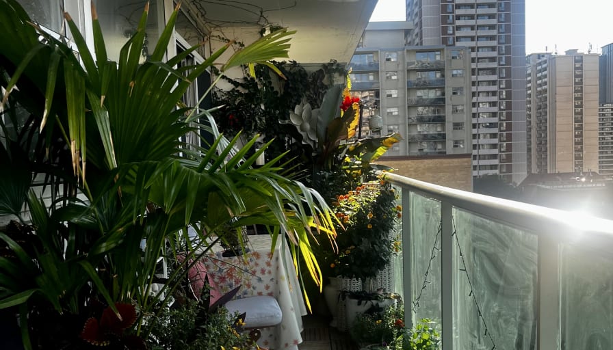 Photo of Stuart's room