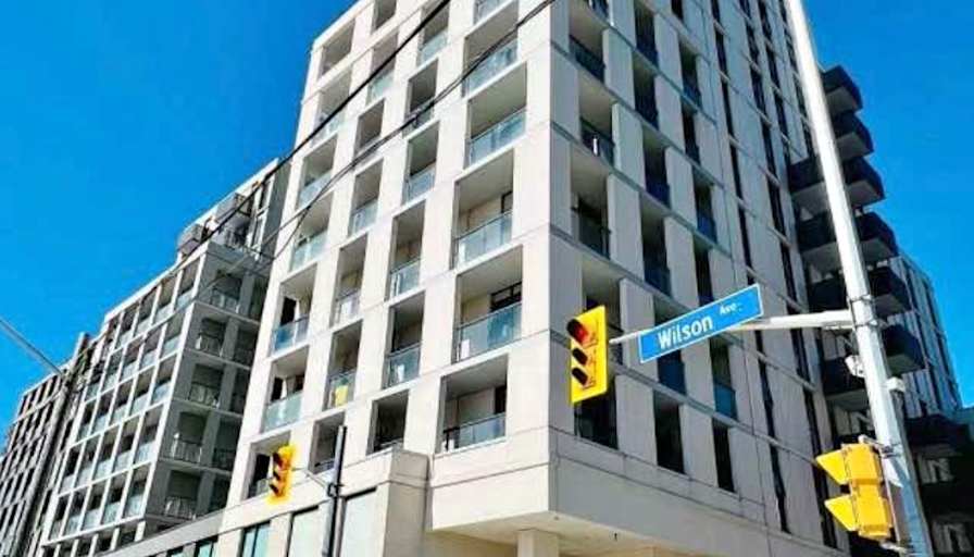 Qamar Mohammadi's room