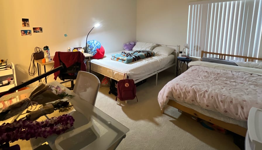 Photo of rose hawaree's room