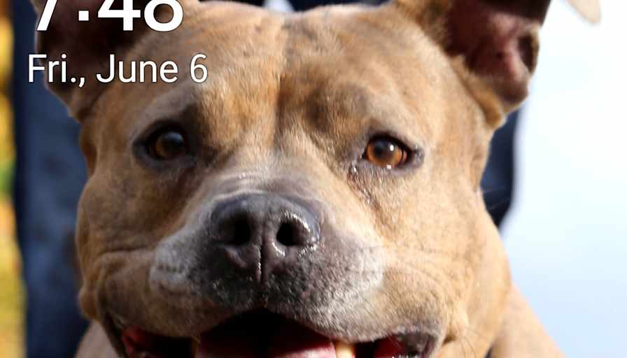 Photo of Luke's room