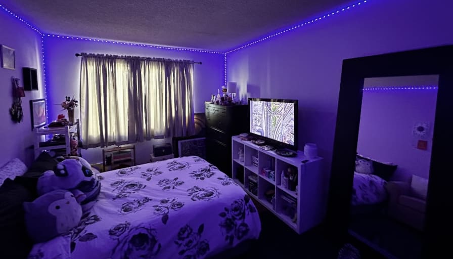Photo of Krista's room