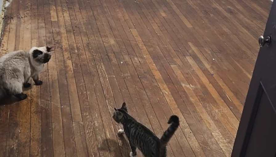 Photo of Matt's room