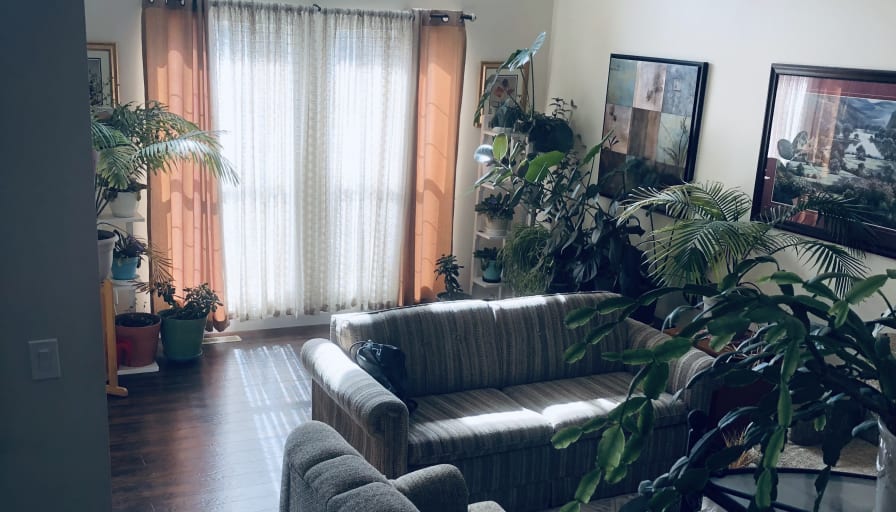 Photo of shiny T's room