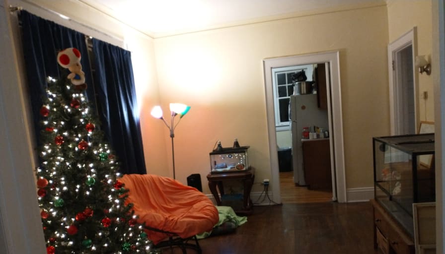 Photo of Sarah's room