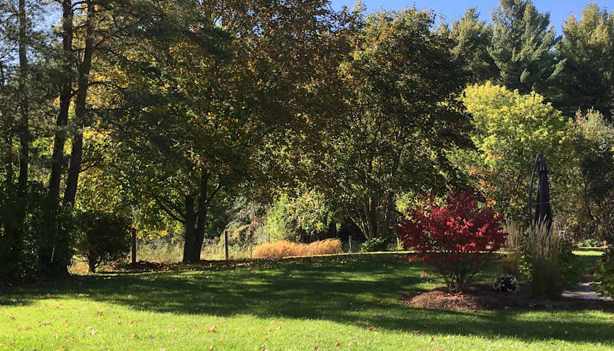 Caledon Suite's room