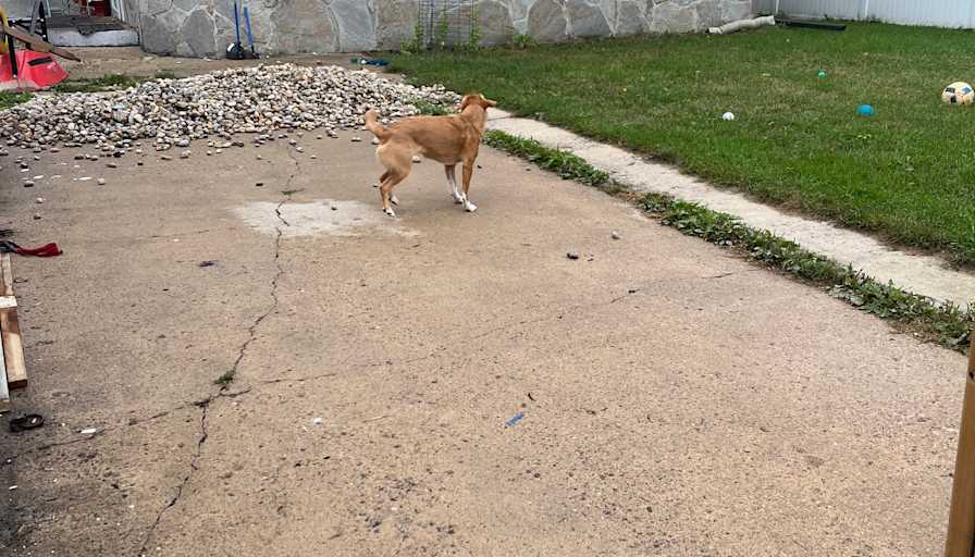 Angela Rinella's room