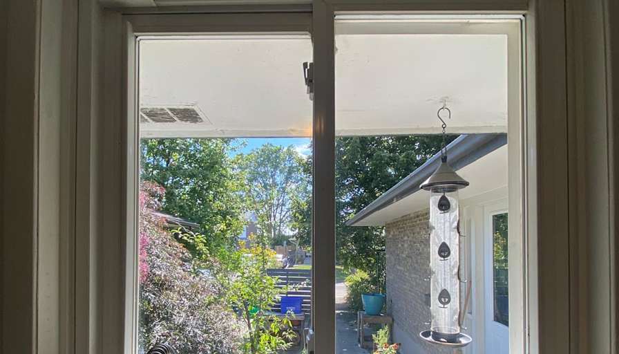 NICOLA THOMAS's room