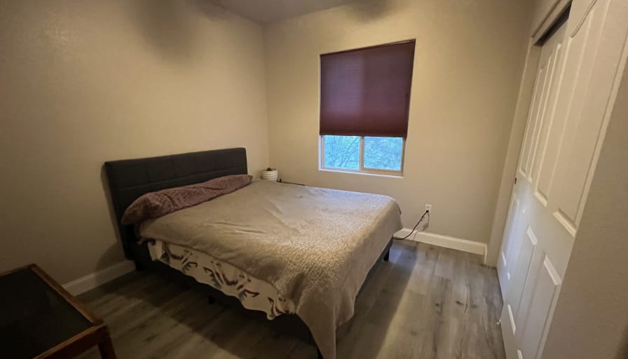Photo of Tricia's room