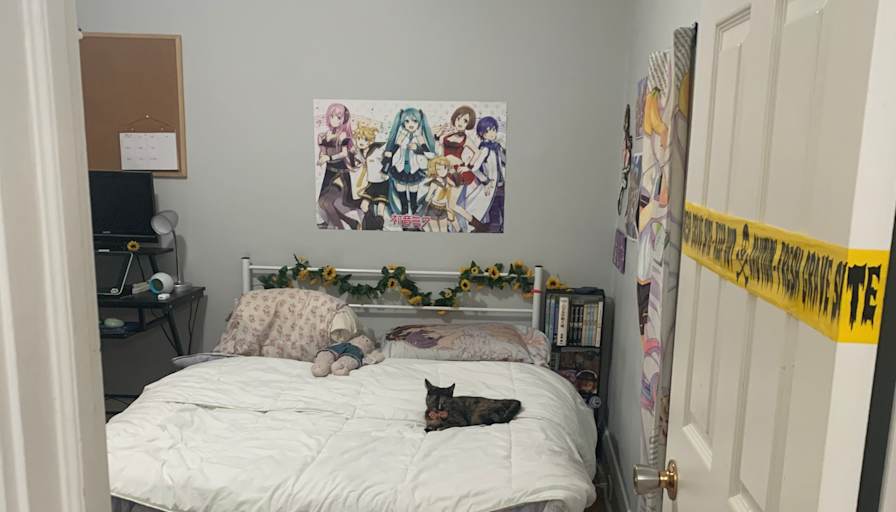 Photo of Sarah's room