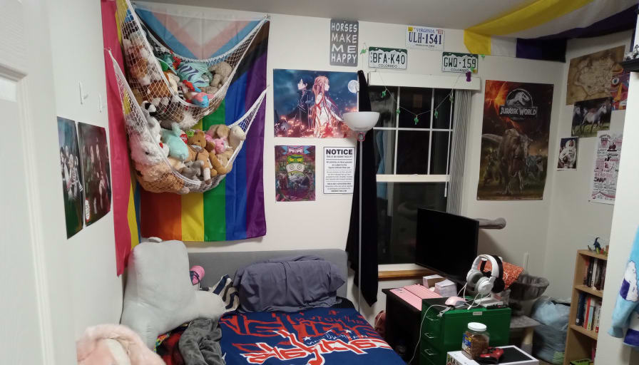 Photo of Zee's room