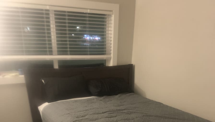 Photo of Buddy's room