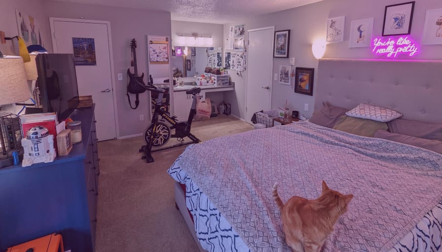 Photo of Mora's room
